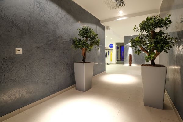 AMBIANCE Sports & Spa Pasing